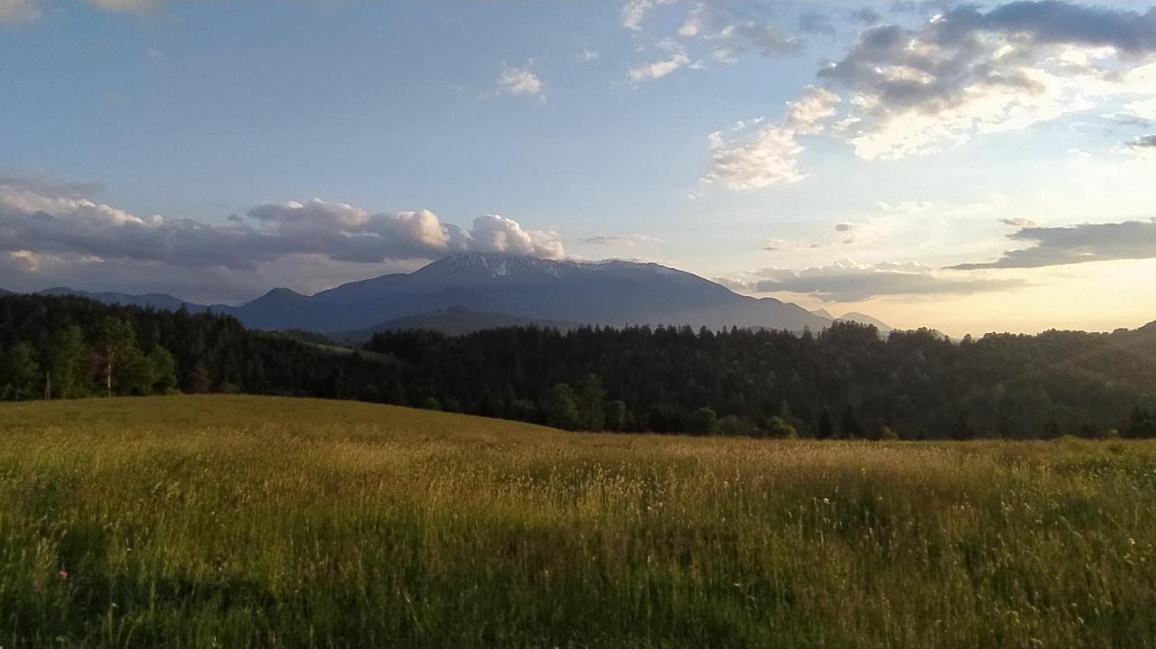 Kmetija Pecnik Apartman Prevalje Kültér fotó