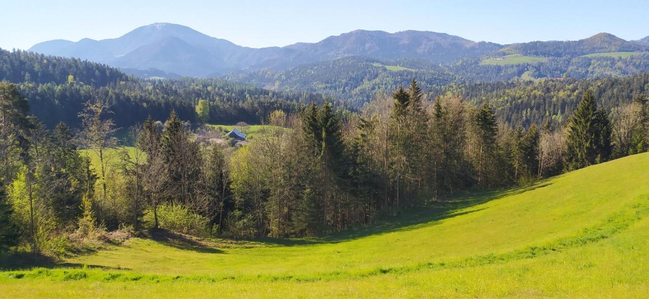 Kmetija Pecnik Apartman Prevalje Kültér fotó